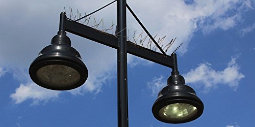 5 Meter Taubenspikes 2-reihig auf Polycarbonat – hochwertige Lösung für Vogelabwehr Taubenabwehr Spikes - 7