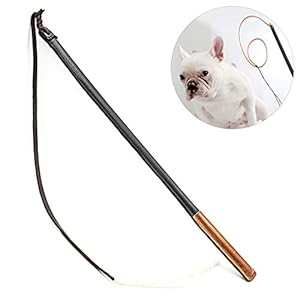 Legendog Perro Formación Palo Flexible Difícil Ruidoso Perro Formación Látigo Perro
