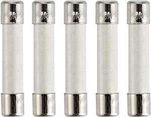 Fusibile in ceramica a cartuccia fusibile 20 Amp 250 V compatibile lento  sostituzione universale per GE WB27X10388 e Whirlpool Kenmore altri  microonde 5 pezzi : Amazon.it: Fai da te