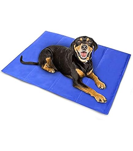 Scat Mat For Cats Cobito Scat Shock Mat For Dogs And Cats, Pet