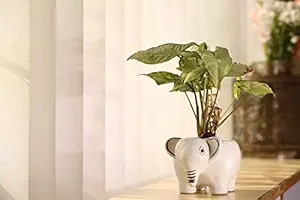 Adhyyan Craftsmanship Elephant Planter (Without Plant) Ceramic Planter