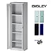 Produktbild BISLEY Aktenschrank | Werkzeugschrank | Flügeltürenschrank aus Metall abschließbar inkl. 4 Einlegeböden Breite = 60 cm | Stahlschrank ist TüV / GS geprüft | in Licht grau