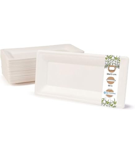 Lot De 100 Assiettes En Carton Super Rigides 15,2 Cm Biodégradables