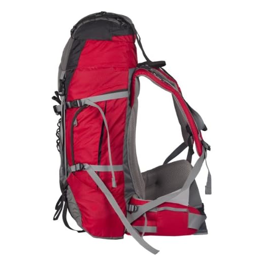 Wildcraft Alpinist 55 Ltrs Red Rucksack (8903338000907) - Image 10