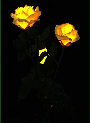 FRE solarbetrieben, künstliche Rose LED Licht, Querformat, Gelb - 4