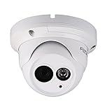 Telecamere videosorveglianza: quale comprare 8 Foscam FI9853EP_2 Telecamera IP da Interno/Esterno, HD, Bianco, 1 Megapixel