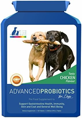 Advanced Probiotics for Dogs - Supplement for Digestive Health and Immunity. Advanced formula with 5 Strains of Bacteria in a Prebiotic Inulin Base, 2 Billion CFUs Per Tablet, Plus Digestive Enzymes