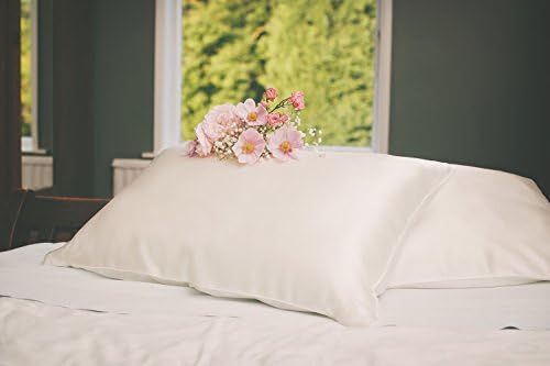 Luxury 22 Momme 100% Pure Mulberry Silk Pillowcase, Health and Beauty Benefits for Face Wrinkles, Hair and Skin, Anti-Frizz, Anti-Wrinkle, Ivory, Standard Size 50cmx75cm, Envelope Design Opening, by Silk Slumber