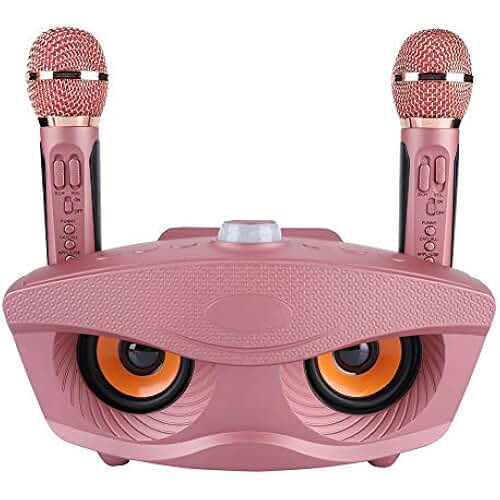 Amazon.es equipos para karaoke