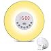 Produktbild Earthbay Wake Up Licht, Lichtwecker Wecker Sonnenaufgang Simulation Dämmerung Fading Nachtlicht mit 6 Natur Sounds, FM Radio, Touch Control 10 Helligkeit Nachttischlampe 7 Farben Berührungssensor und USB Ladegerät