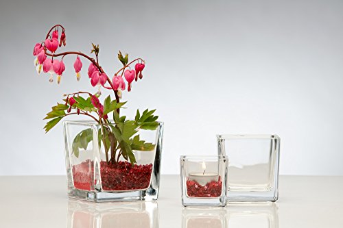 Glasvase Cube klar eckig 10 cm Ø 10,0 x 10,0 cm von Sandra Rich - 2