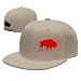 Produktbild Aeykis Bison Unisex Adjustable Flat Brim Baseball Cap Hip Hop Hat V003593