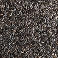 tba Wild Bird Niger Nyger Nyjer Seed- PREMIUM WILD BIRD SEED ESSENTIAL NUTRITION (2kg)