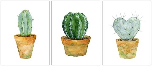 Modern Posters Prints Wall Art Watercolor Cactus Illustration Succulent Green Plants Unframed 3pcs