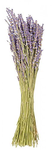 Lavendel Bund ‚extraqualität‘ getrocknet herrlich duftend ca. 100g - 4
