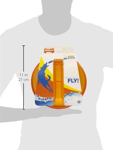 Nylabone-Go-Active-Flying-Disc