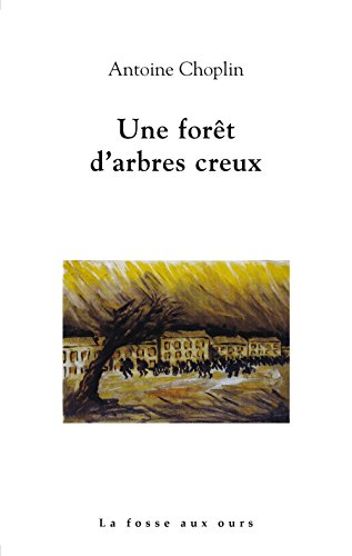 couverture de : Foret d'arbres creux (une)