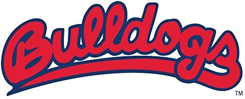 NCAA Fresno State Bulldogs 12" Tall Primary Logo Jumbo Vinyl Transfer Paper, Team Color, One Size