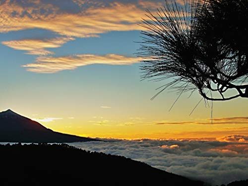 Preisvergleich Produktbild Lais Puzzle Teide Teneriffa 1000 Teile