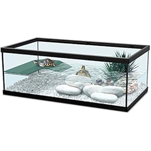 Zolux Aquarium für Schildkröten / Amphibien, 55cm, Schwarz