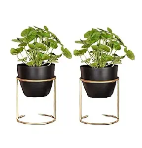 Pottery Studio, Designer Black Flower Pot with Stand, for Your Home Garden // Balcony Garden // Home Dcor // Office // Hotel // Bar // Office (7.75 inch )_(Pack of 2)_(PS-PLANTER-03)