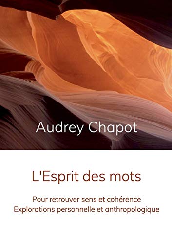 Télécharger L'Esprit des mots : Pour retrouver sens et cohérence - Explorations personnelle et anthropologique PDF