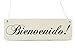 Produktbild Shabby Vintage Schild Dekoschild Türschild BIENVENIDO Holzschild Willkommen