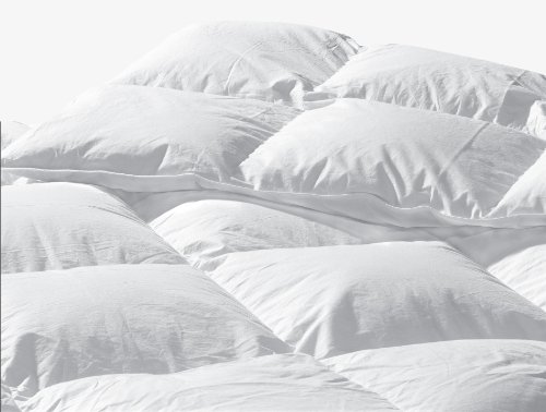 Highland Feather Manufacturing 35-Ounce Santa Barbara Goose Down Duvet, Queen, White