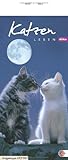 Whiskas Katzenleben 2012. Kalender: Mit Jahresübersicht 2012 by