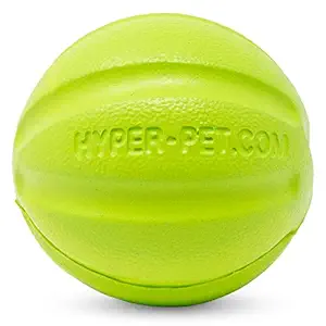 Hyper Pet Chewz Ball Dog Toy