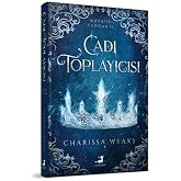Witch Collector (Hardcover)