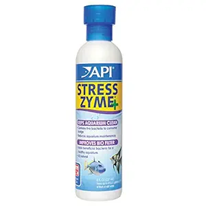 API Stress Zyme, 237 ML