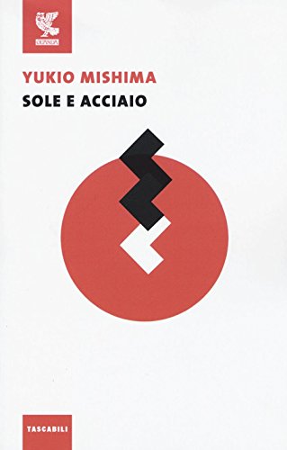 Sole e acciaio libro