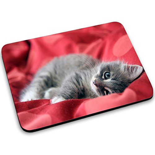 Katzen 10016, Graue Katze, Mousepad Anti Rutsch Unterseite für Optimalen Halt Kompatibel mit allen Maustypen (Kugel, Optisch, Laser) Ideal für Gamer und für Grafikdesigner.
