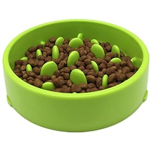 Blueprint PX Fun – Comedero inteligente para perros