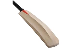 Kalindri Sports Batte de Cricket en Bois Saule Populaire pour Le Tennis, Balle en Caoutchouc