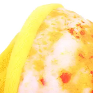 Multifunctional Funny Pet Blanket, Indoor Washable Pizza Shape Dog Rest Mat, Warm Keeping for Cat for Dog Pet Accessory Easy to Clean(Pizza Blanket, L)