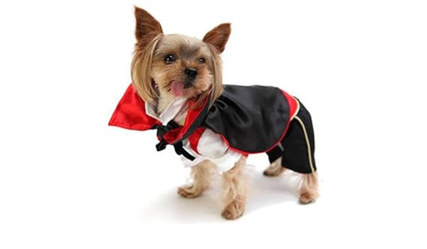 Watch Vampire Dog HD 1080P Watch Vampire Dog HD 1080P