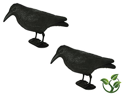 mgc24 2er Set Rabe »Lummy« / Taubenschreck