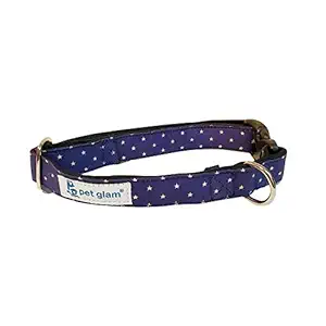 Pet Glam Dog Collar Stardom -Comfortable Padded Lining-for Medium-Large Dogs-Durable Hardware-Fits-Beagles, Labs, Indies, Gold Retrievers, Huskies