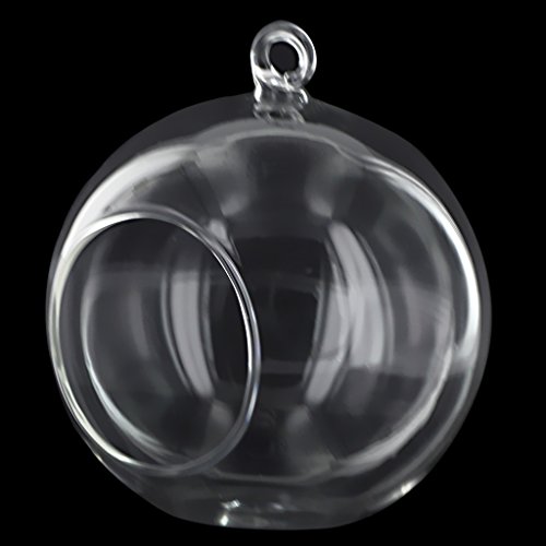 Gazechimp 4-Zoll Transparent Glas Vase Hängevase Flasche Für Pflanzen Blumen Tisch Haus Dekor