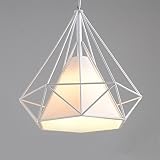 icase4u Retro Antiguo Industrial Metal Jaula Lámpara Colgante de Techo Moderno Minimalista Creativa Portalámpara Perfecta para Cocina / Comedor / Dormitorio / Café / Bar /Fábrica (blanco-28cm)