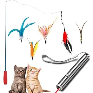 Dioxide 7 Piezas de Juguetes para Gatos, Juguete de Plumas de Gato 1 Varita Retráctil con 5 Plumas de Ave, 2 n 1 Función Mascota Gato Captura Juguetes De Entrenamiento（Baterías no Incluidas）