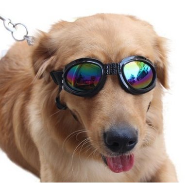 Pet-Sunglasses-Dog-UV-Protective-Foldable-Sunglasses-Lenses-Eye-Wear-Protection-with-Adjustable-Strap-Black