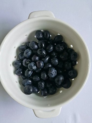 YoHom Seiher Klein Keramik Porzellan Colander Küche Sieb Schüssel für Gemüse Obst Küche Werkzeug, klein, weiß - 5