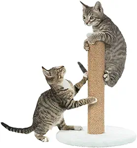 Trixie: - Junior Scratching Post on Plate | Post Wrapped in Natural Sisal with Plush Cover | Supports Claw Care | Keeps Kitty Active and Playful - Mint, 30 x 7 x 42 cm