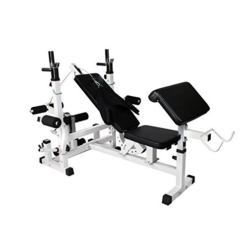 Gorilla Sports Hantelbank mit Hantelset Universal Kraftstation mit 108kg Gusseisen, 10000130 - 2