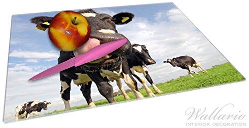 Stilvolle Glasunterlage / Schneidebrett aus Glas, Lustige Kuh auf der Weide mit herausgestreckter Zunge, Größe 30 x 40 cm, kratzfest, aus Sicherheitsglas - 2
