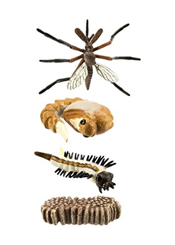 Preisvergleich Produktbild Safari Lebenszyklus eines Mosquito