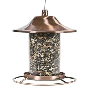 Perky-Pet Panorama Mangiatoia per Uccelli in Rame, 312C